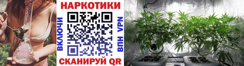 Наркошоп купить Амфетамин  ЭКСТАЗИ  Меф мяу мяу  COCAIN  ГАШ  Alpha-PVP  Волчанск