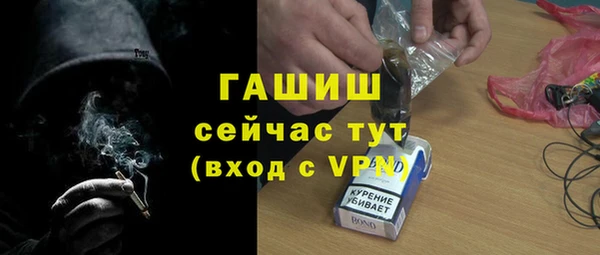гидра Краснослободск