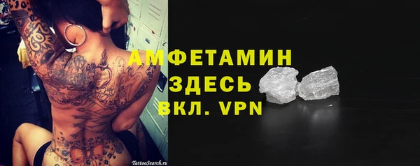 гидра Краснослободск