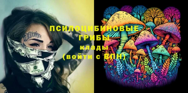 прущие крисы Краснотурьинск