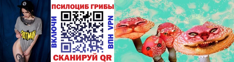 Купить  Волчанск  Псилоцибиновые грибы мицелий 
